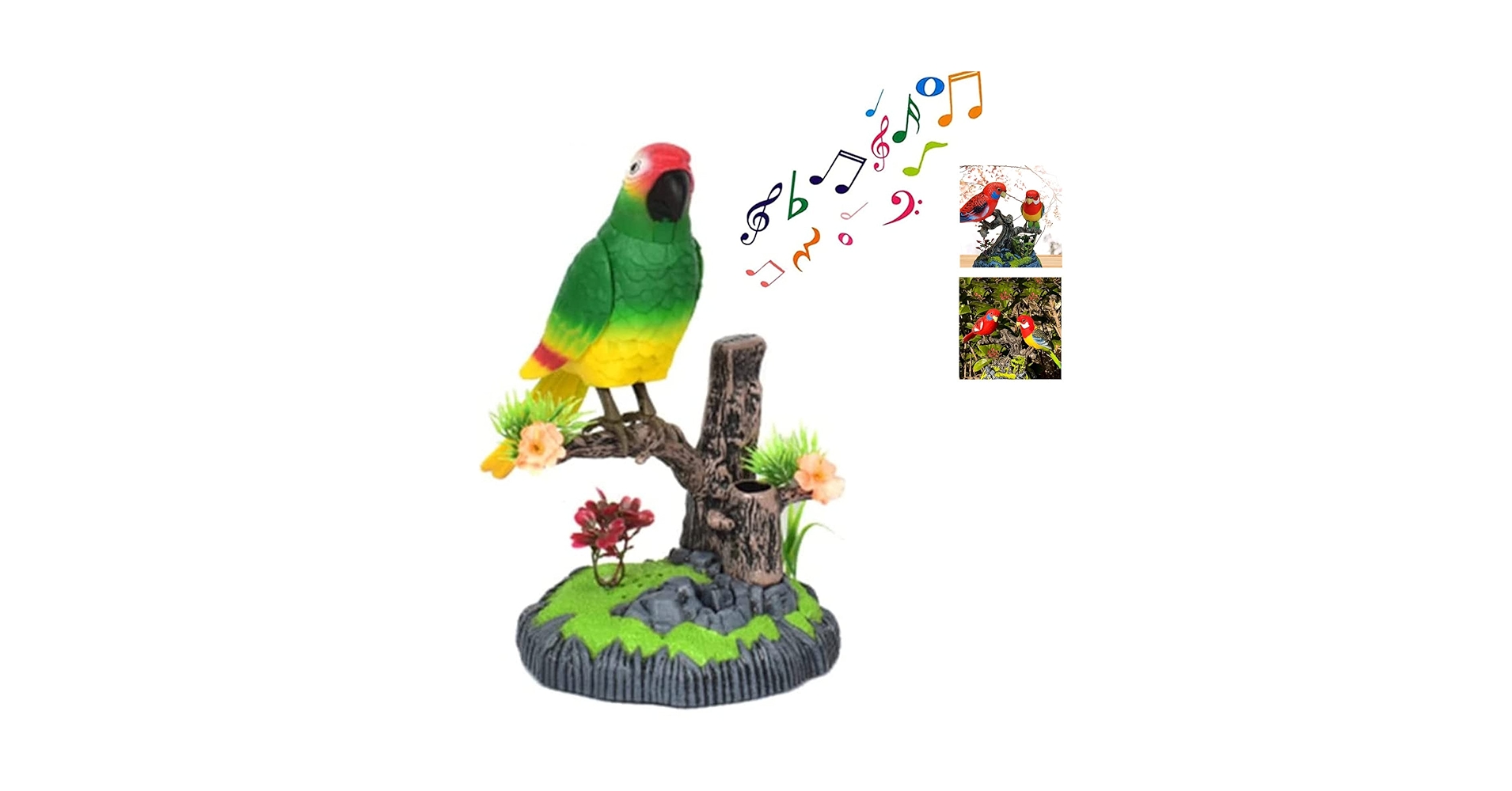 (初心者向けセット)Chatting Bird CWC-FT 初心者向けセット)Chatting Bird CWC-FT Amazon.com : Gigwi